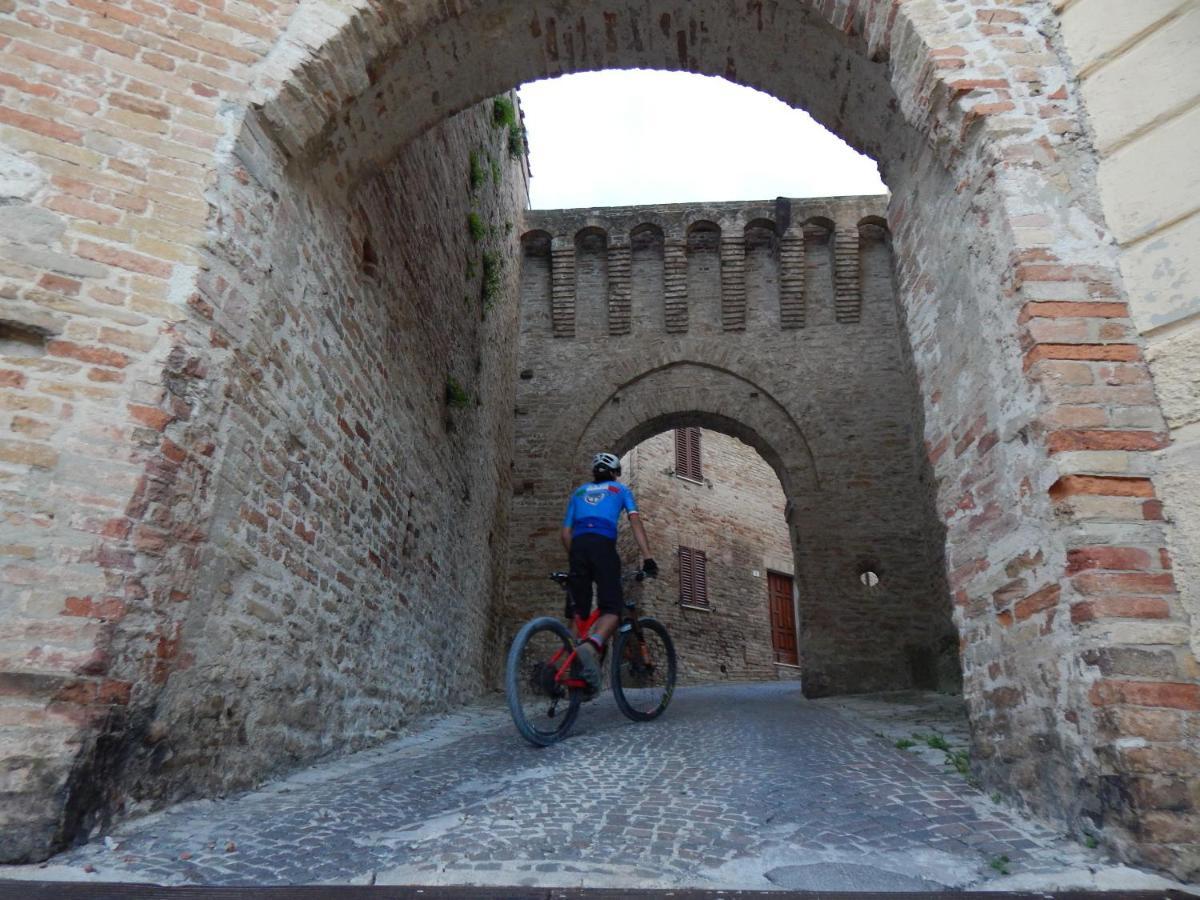 Recchi Franceschini Bike Hotel Last - Minute - Availability Montalto delle Marche Luaran gambar