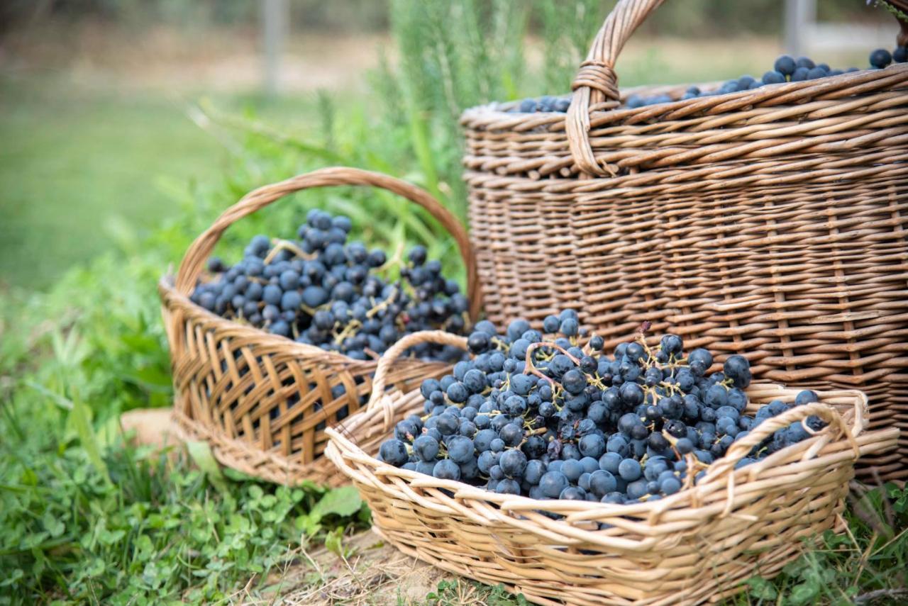 Recchi Franceschini Bike Hotel Last - Minute - Availability Montalto delle Marche Luaran gambar