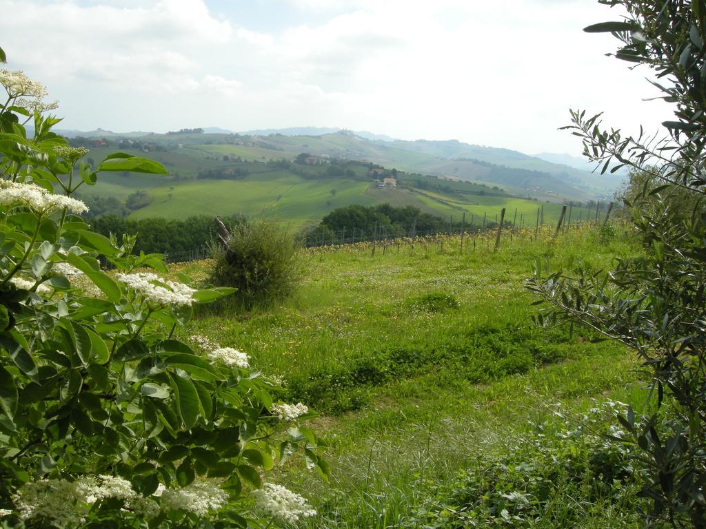Recchi Franceschini Bike Hotel Last - Minute - Availability Montalto delle Marche Luaran gambar