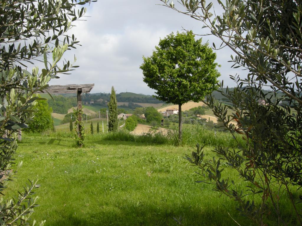 Recchi Franceschini Bike Hotel Last - Minute - Availability Montalto delle Marche Luaran gambar